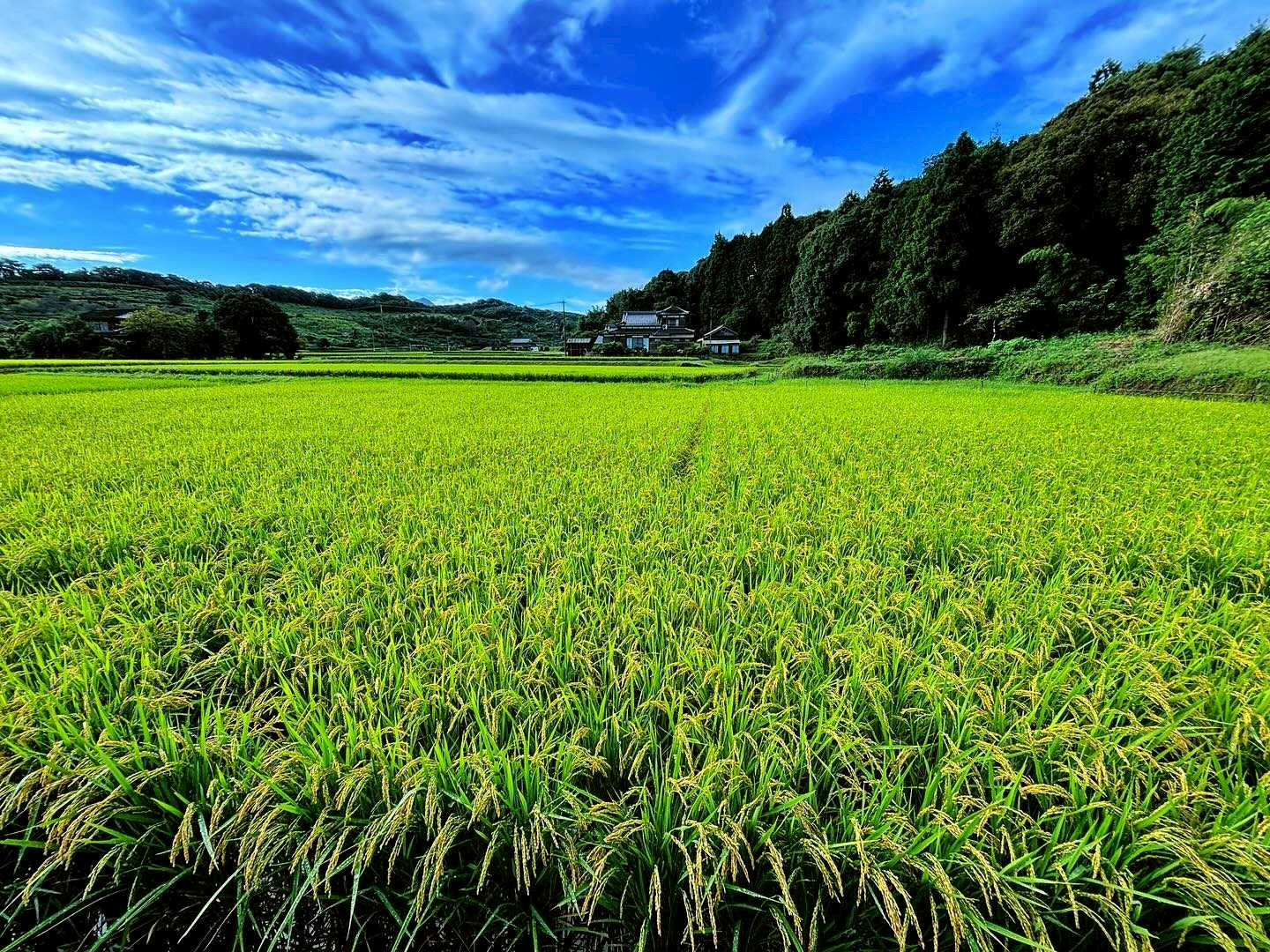 想いを伝え、共感の輪を広げます