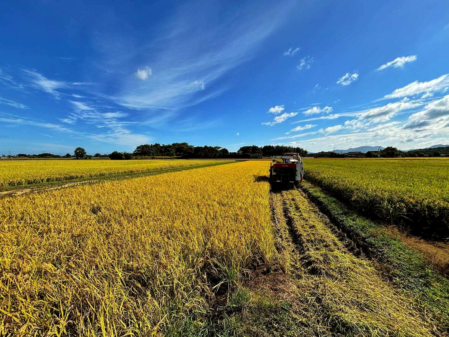 お米の共同オーナーとして、価値を生産開発し、届けます